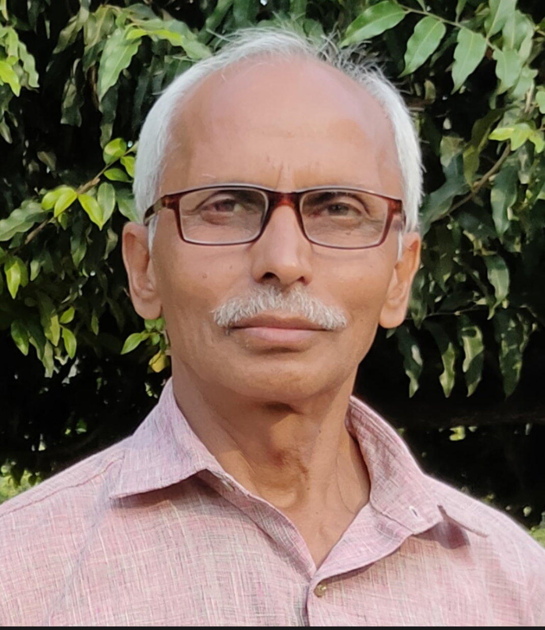 Dr. Ashok S. Kandhare